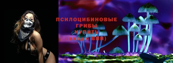 jwh Бородино