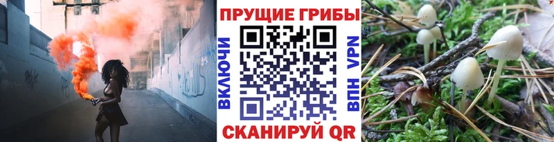 Псилоцибиновые грибы прущие грибы  Заозёрный 