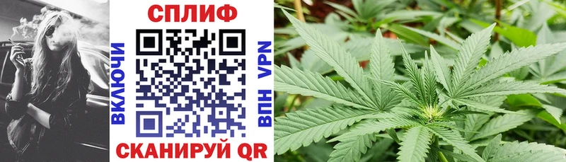 где купить наркоту Заозёрный МАРИХУАНА ГИДРОПОН
